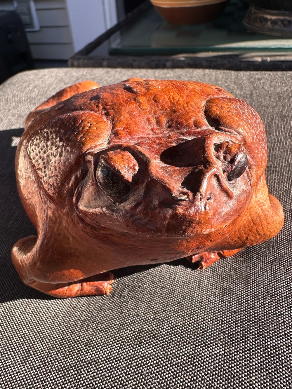 Hand-Carved Real Skin Toad House Weird Deco